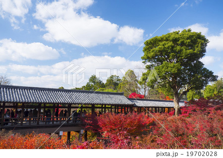 紅葉　通天橋　東福寺 19702028