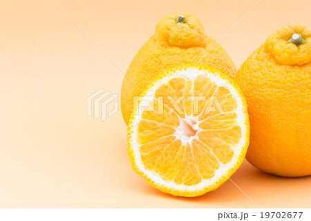 デコポン（不知火）: Dekopon (Sumo) 19702677