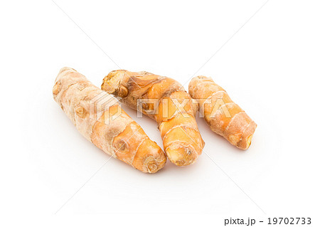 ウコンの根茎:Turmeric rhizome ウコンの根茎:Turmeric rhizome 19702733