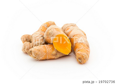 ウコンの根茎:Turmeric rhizome 19702736