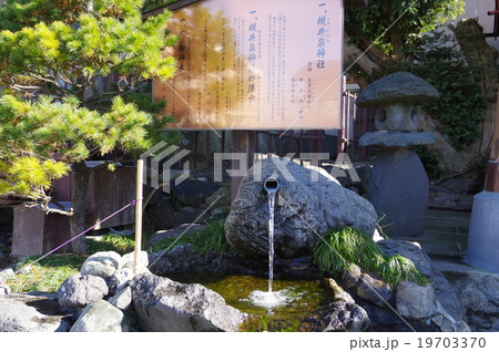 まつもと城下町湧水群 槻井泉(つきいずみ)神社の湧泉横 木曽義高の出生地(伝承) まつもと城下町湧水群 槻井泉(つきいずみ)神社の湧泉横 木曽義高の出生地(伝承) 19703370