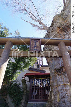 まつもと城下町湧水群 槻井泉 つきいずみ 神社 鳥居と祠 木曽義高の出生地 伝承 の写真素材