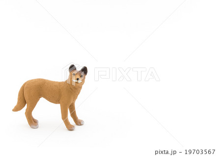おもちゃのディンゴ: Toy Dingo おもちゃのディンゴ: Toy Dingo 19703567