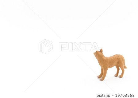 おもちゃのディンゴ: Toy Dingo おもちゃのディンゴ: Toy Dingo 19703568