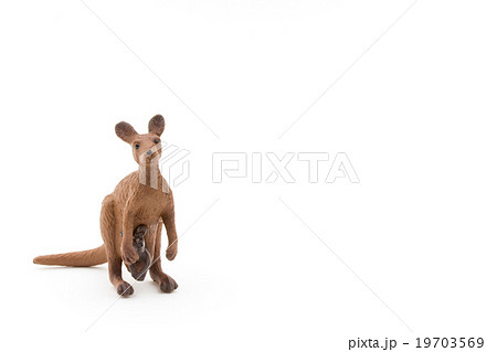 おもちゃのカンガルー:Toy Kangaroo おもちゃのカンガルー:Toy Kangaroo 19703569