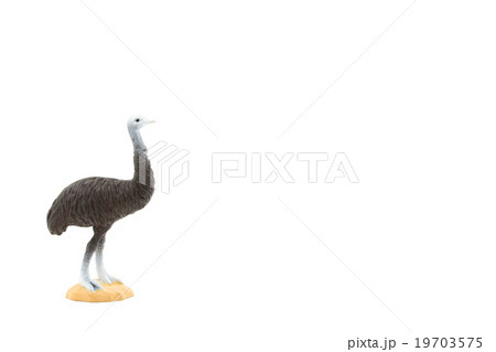 おもちゃのエミュー: Toy Emu おもちゃのエミュー: Toy Emu 19703575