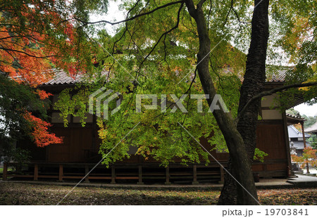 秋の雲興寺 19703841