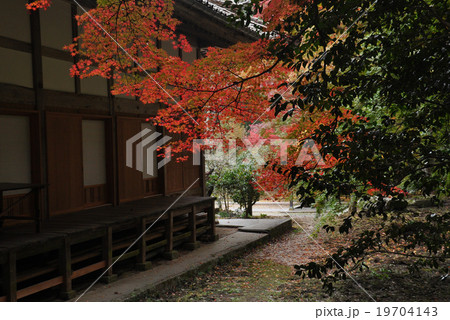 秋の雲興寺8 秋の雲興寺8 19704143