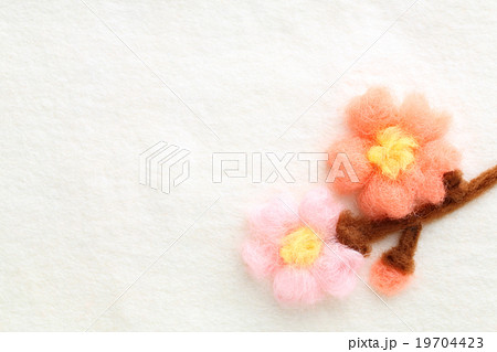 羊毛フェルトの桜の写真素材