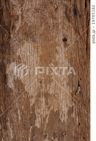 old wood background 19705182