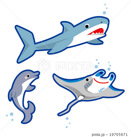 サメ イルカ マンタのイラスト素材