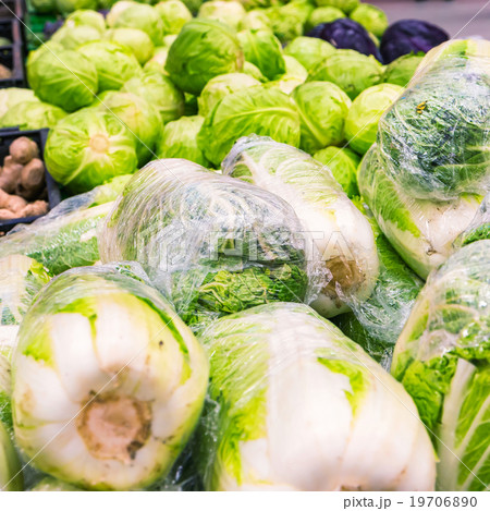 Fresh cabbage at farmers market 19706890