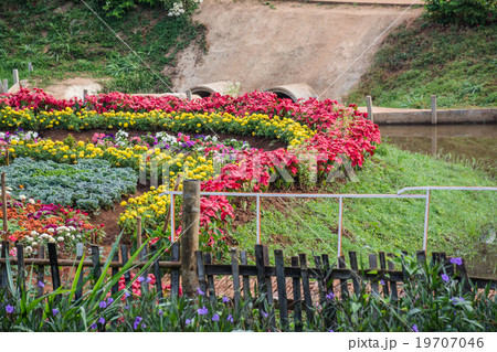 Event temperate woody at Uthai Thani, Thailand. 19707046