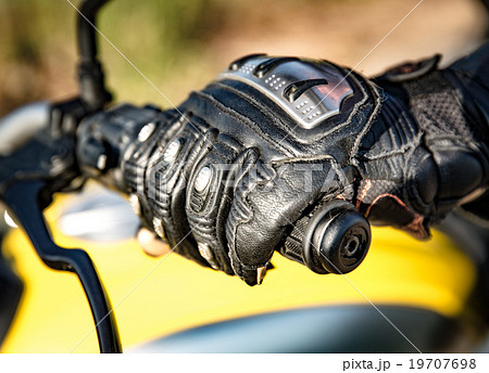 Motorcycle Racing Gloves 19707698