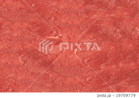 raw meat background 19709779