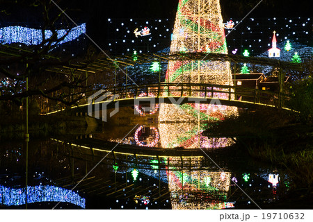 あしかがフラワーパーク　イルミネーション　光の花の庭 19710632