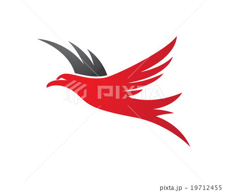 Falcon Logo Template Falcon Logo Template 19712455