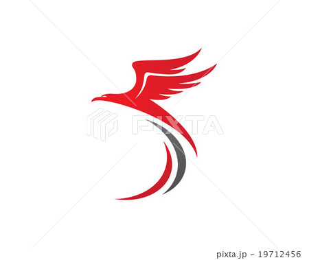 Falcon Logo Template 19712456