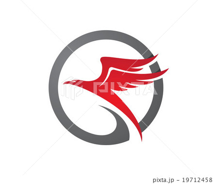 Falcon Logo Template 19712458
