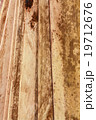 wood ground 19712676
