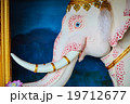 elephant 19712677