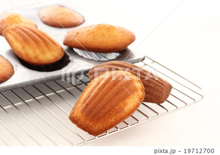 マドレーヌ　焼きたて 19712700