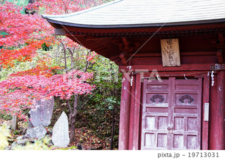 来迎院龍神堂(茶湯寺) 来迎院龍神堂(茶湯寺) 19713031