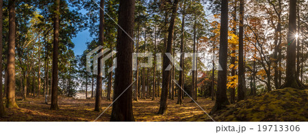 飫肥城址旧本丸跡 飫肥城址旧本丸跡 19713306