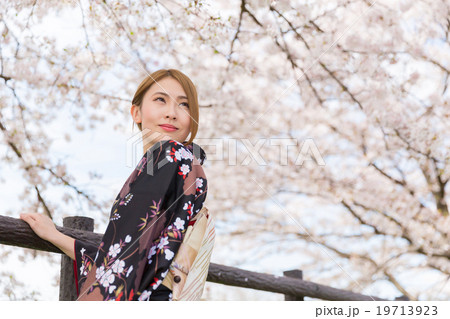 着物を着た女性と桜 着物を着た女性と桜 19713923