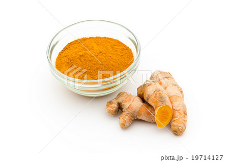 ウコン粉末とウコンの根茎:Turmeric Powder and Turmeric Rhizome 19714127