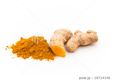ウコン粉末とウコンの根茎:Turmeric Powder and Turmeric Rhizome ウコン粉末とウコンの根茎:Turmeric Powder and Turmeric Rhizome 19714140