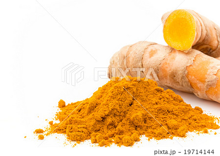ウコン粉末とウコンの根茎:Turmeric Powder and Turmeric Rhizome 19714144