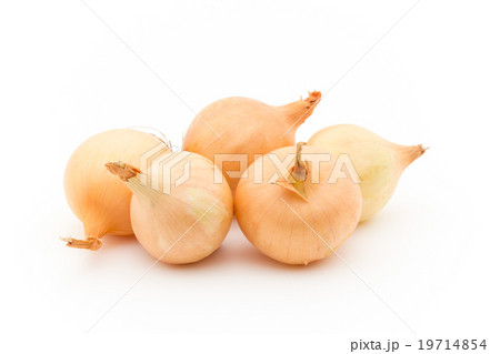 小玉ネギ: Gold Pearl Onion 19714854