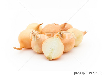 小玉ネギ: Gold Pearl Onion 19714856