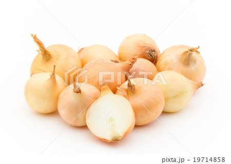 小玉ネギ: Gold Pearl Onion 19714858