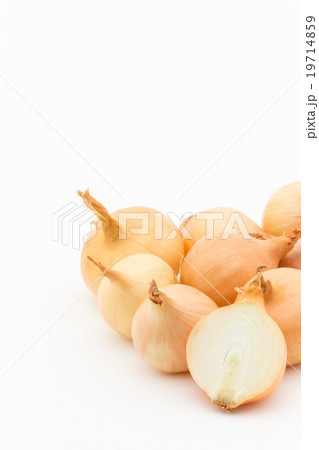 小玉ネギ: Gold Pearl Onion 小玉ネギ: Gold Pearl Onion 19714859