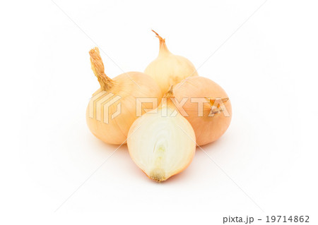 小玉ネギ: Gold Pearl Onion 小玉ネギ: Gold Pearl Onion 19714862