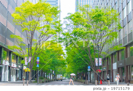丸の内・仲通り(東京の風景) 丸の内・仲通り(東京の風景) 19715179