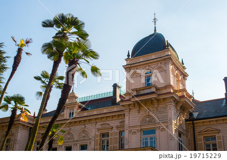 旧岩崎邸庭園（東京の風景） 19715229