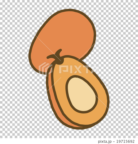 Palm Palm 19715692