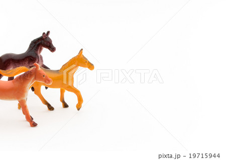 おもちゃの馬: Toy Horse おもちゃの馬: Toy Horse 19715944