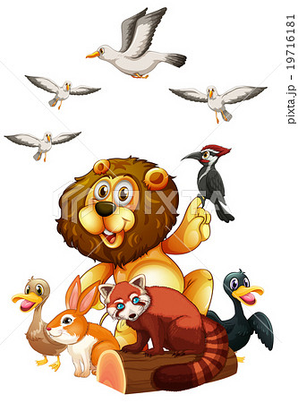 Different kind of wild animals on log 19716181