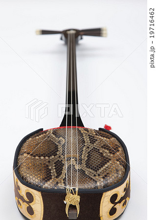 三線（さんしん） 19716462