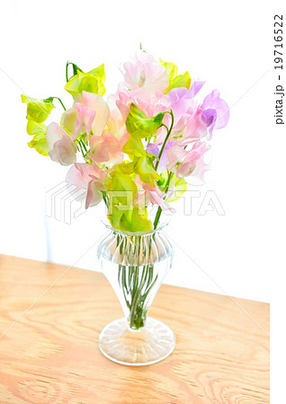 パステルトーンのスイートピーの花 花 フラワーアレンジメント の写真素材