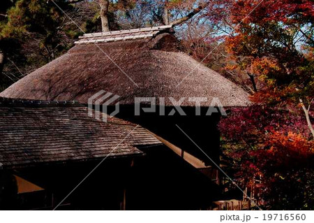 三渓園の東慶寺仏殿 19716560