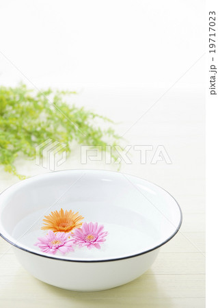 アロマ アロマ 19717023