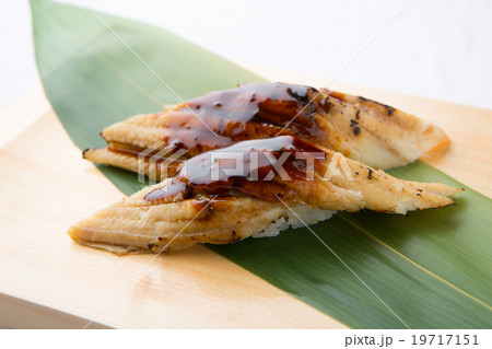 お寿司屋さんの穴子のにぎり寿し 19717151