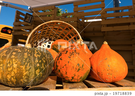 Fresh Pumpkins at a Market Fresh Pumpkins at a Market 19718839