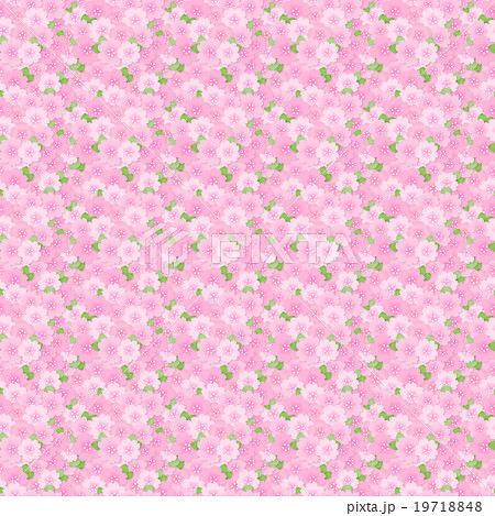 綺麗かわいい桜のイラスト総柄 シームレス 連続 繰り返し パターン お花見 春素材 背景のイラスト素材