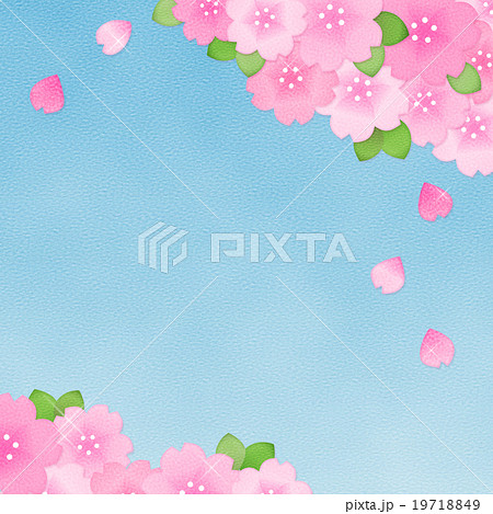 綺麗かわいい桜のイラスト素材 コピースペース 正方形 お花見 春素材 背景のイラスト素材